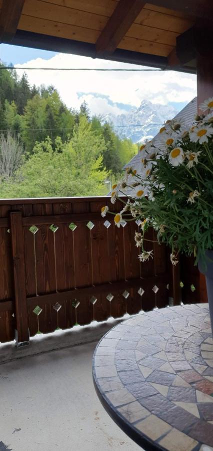 Apartment Alpska Astra Кранська Гора Екстер'єр фото